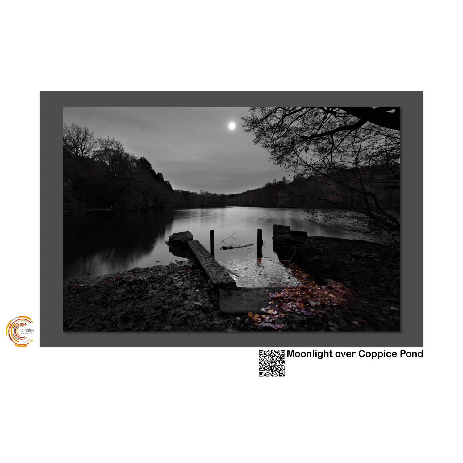 07 Moonlight over Coppice Pond