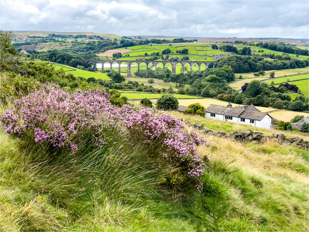 Neil_Horsley_Bingley_CC-009