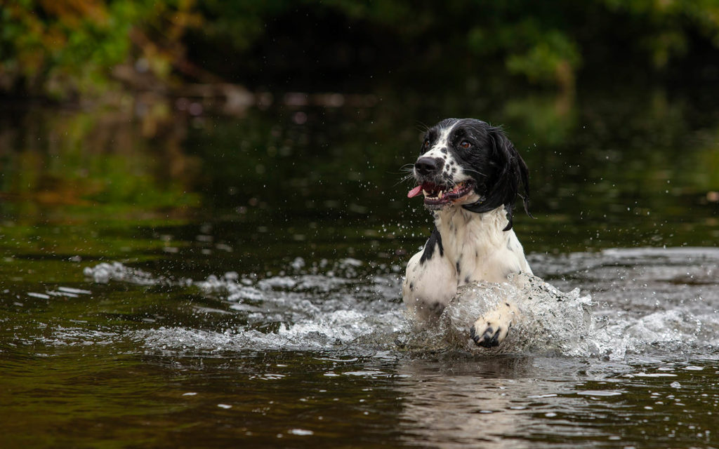 Making a splash