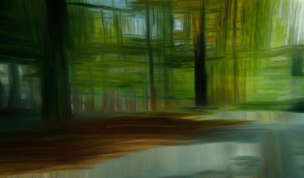 Trees-ICM